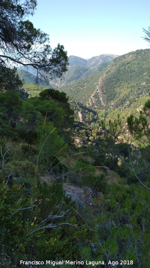 Caada del Sabinar - Caada del Sabinar. Vistas