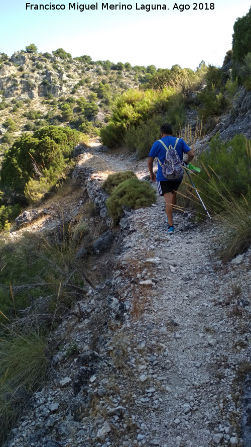 Cañada del Sabinar - Cañada del Sabinar. 