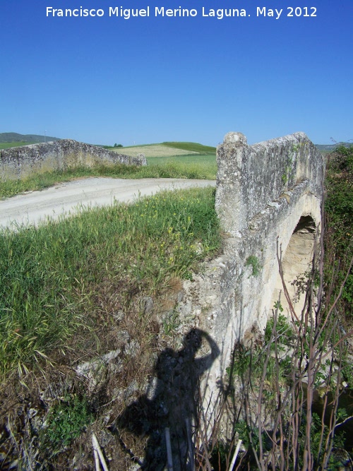 Puente del Guadalcotón - Puente del Guadalcotón. 