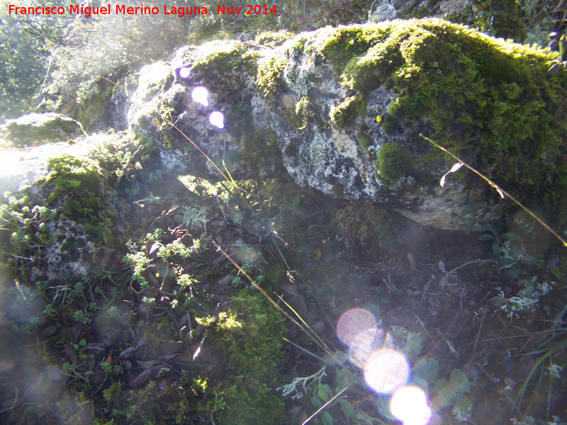 La Camuña - La Camuña. Bloques de piedra formando una pequeña cavidad
