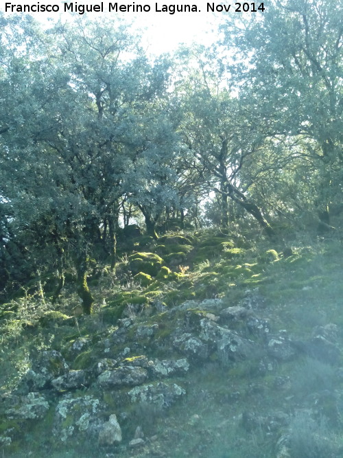 La Camuña - La Camuña. Bosquejo