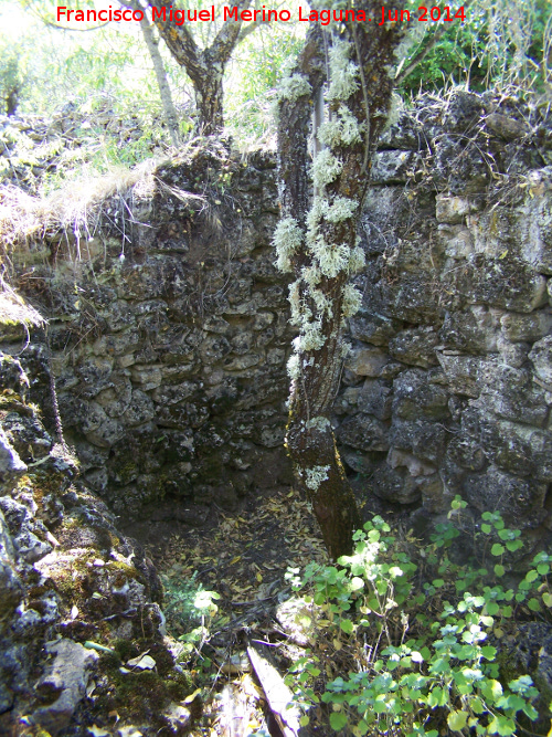 La Colonia - La Colonia. Habitáculo