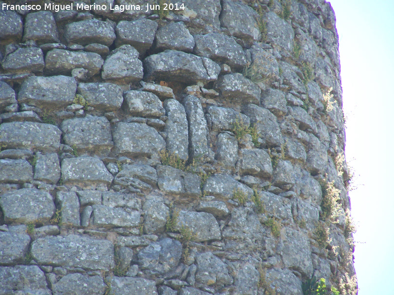 Torreón de la Nava - Torreón de la Nava. Saetera