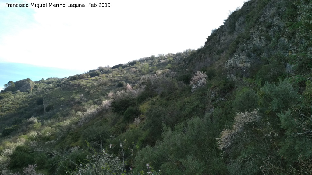 La Nava - La Nava. Ladera noroeste