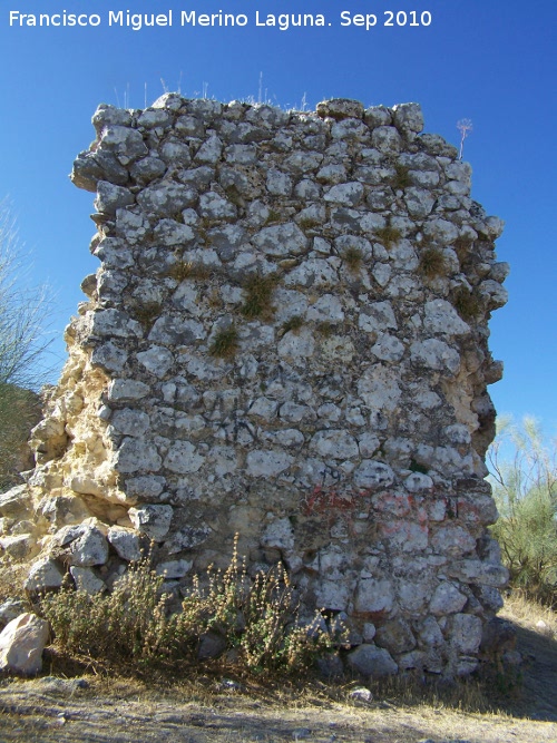 Castillo de la Pea. Torre-Puerta - Castillo de la Pea. Torre-Puerta. Puerta