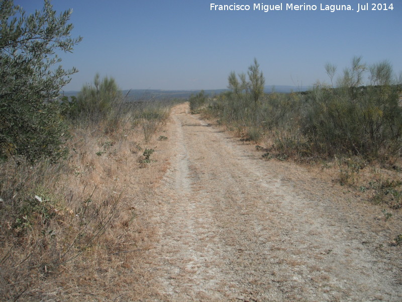 Vía Baeza Utiel - Vía Baeza Utiel. A su paso por el término de Villacarrillo
