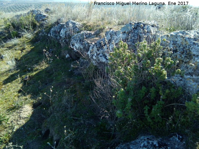 Fortín ibero romano de Piedras de Cuca - Fortín ibero romano de Piedras de Cuca. Muralla