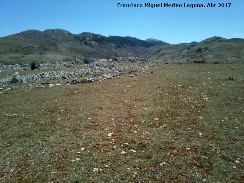 Campos de Hernn Perea - Campos de Hernn Perea. 