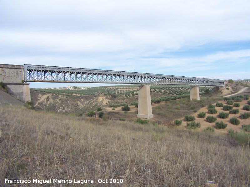 Viaducto del Víboras - Viaducto del Víboras. 