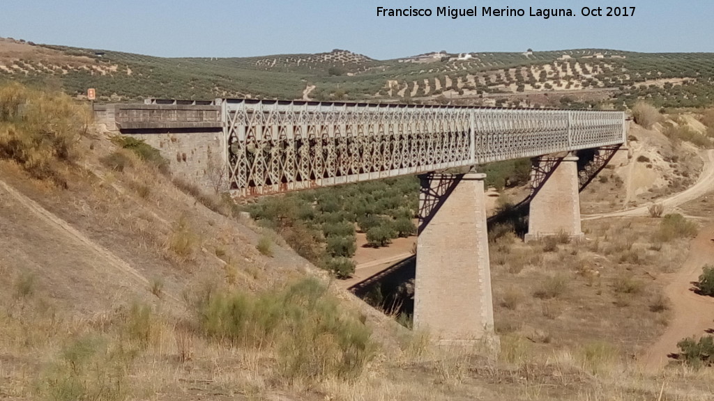 Viaducto del Víboras - Viaducto del Víboras. 