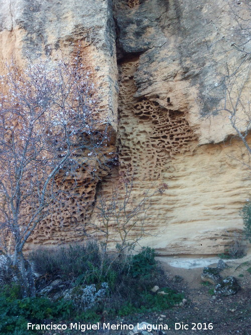Tajos de San Marcos - Tajos de San Marcos. Erosión alveolar