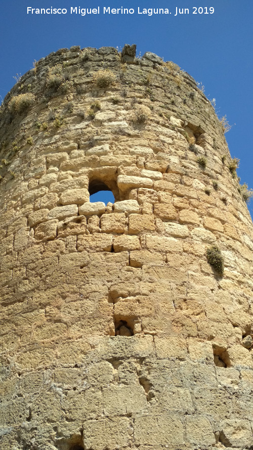 Torren de la Boca de Charilla - Torren de la Boca de Charilla. 