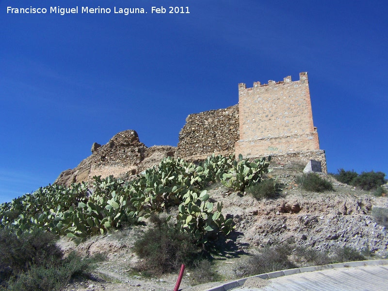 Castillo de Tabernas - Castillo de Tabernas. 
