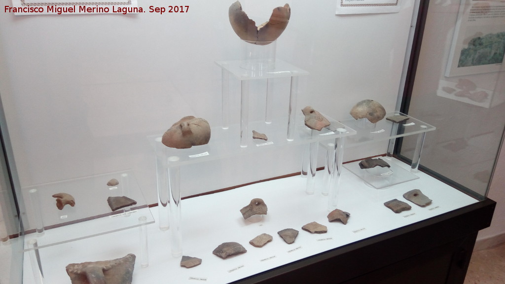 Museo Arqueolgico de Zuheros - Museo Arqueolgico de Zuheros. Vitrina