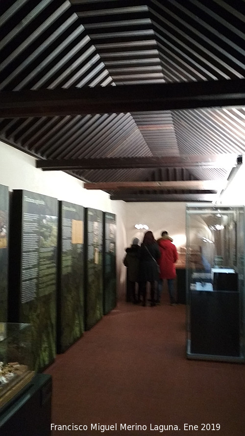 Palacio de Dar Al-Horra - Palacio de Dar Al-Horra. Cámaras