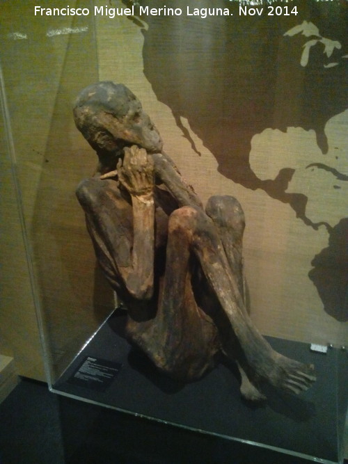 Parque de las Ciencias - Parque de las Ciencias. Momia exposición temporal