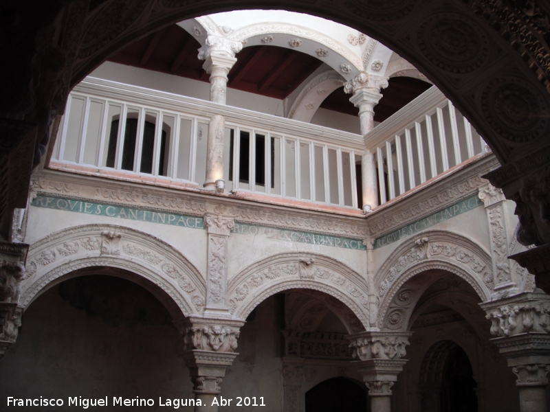 Colegiata de la Asunción - Colegiata de la Asunción. Patio