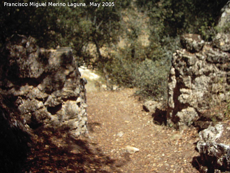 Poblado visigodo de El Castellón - Poblado visigodo de El Castellón. Puerta de acceso