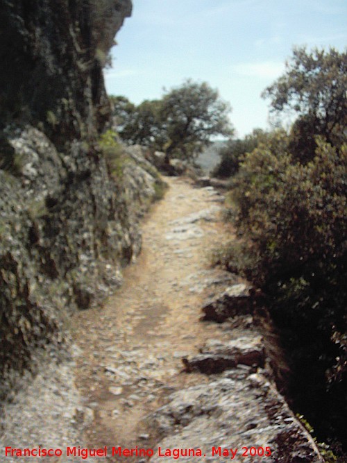 Poblado visigodo de El Castellón - Poblado visigodo de El Castellón. Camino tallado en la roca