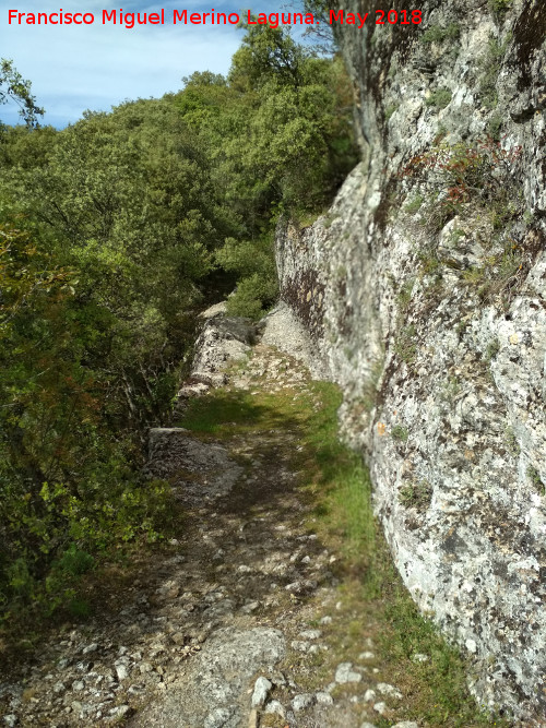 Poblado visigodo de El Castellón - Poblado visigodo de El Castellón. Camino medieval