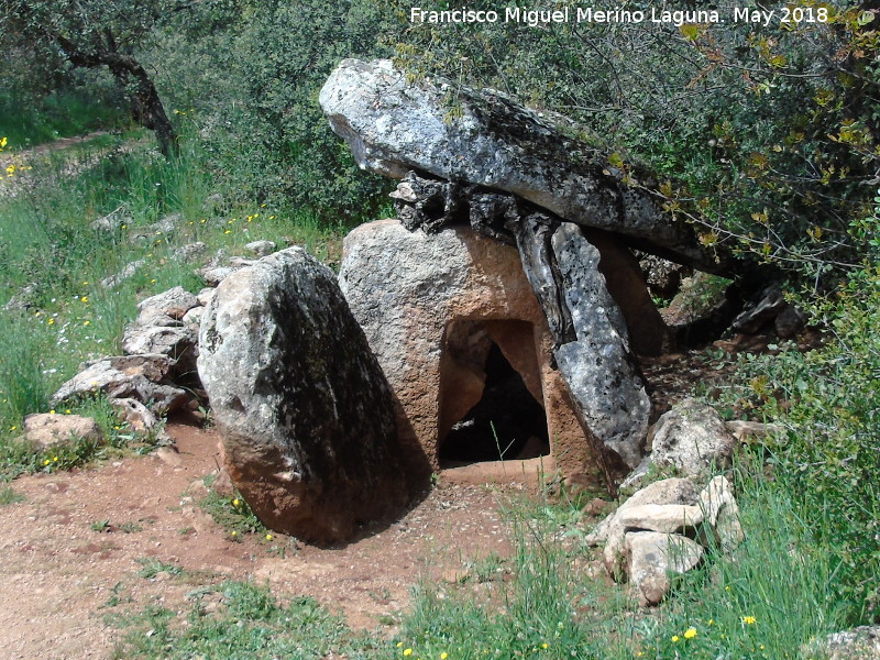 Necrópolis megalítica de Peña de los Gitanos - Necrópolis megalítica de Peña de los Gitanos. Dolmen de las Protuberancias