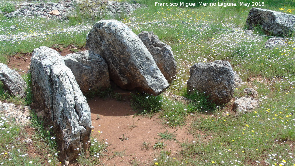 Necrópolis megalítica de Peña de los Gitanos - Necrópolis megalítica de Peña de los Gitanos. Dolmen del Zoomorfo