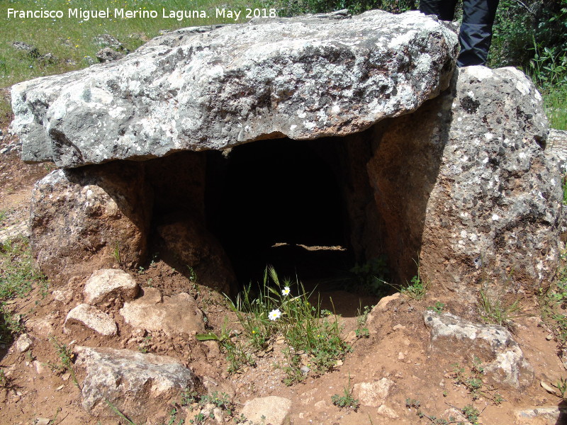 Necrópolis megalítica de Peña de los Gitanos - Necrópolis megalítica de Peña de los Gitanos. Dolmen de la Fosa