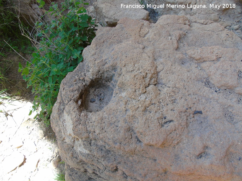 Necrópolis megalítica de Peña de los Gitanos - Necrópolis megalítica de Peña de los Gitanos. Cazoleta del Abrigo de la Colmena