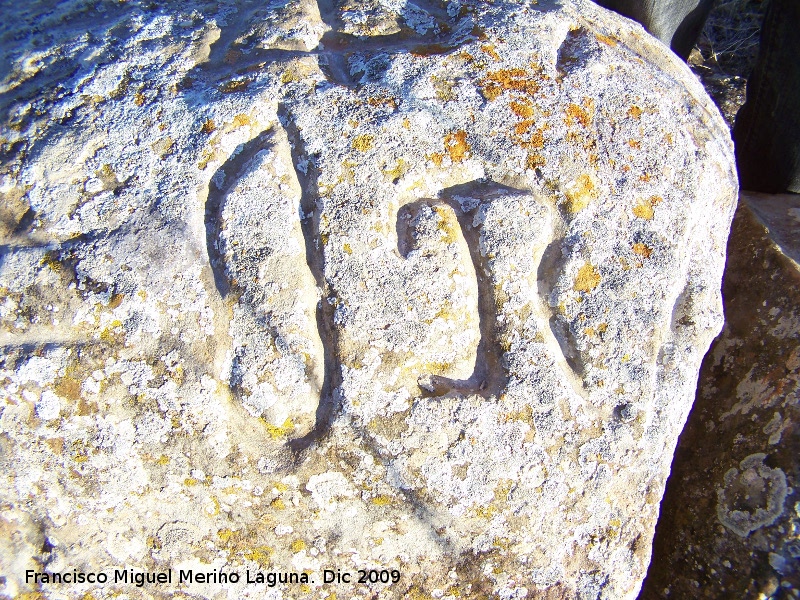 Petroglifos de Alicún de las Torres - Petroglifos de Alicún de las Torres. Símbolos