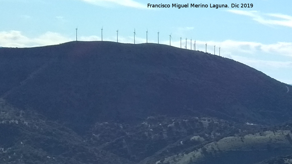 Parque e�lico Sierra del Trigo - Parque e�lico Sierra del Trigo. Desde las Lomas de Carboneros