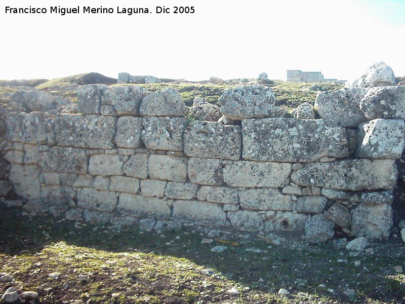 Yacimiento arqueológico Ronda la Vieja - Yacimiento arqueológico Ronda la Vieja. Muro del foro