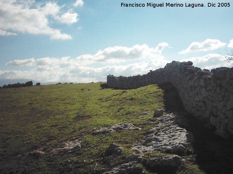 Yacimiento arqueológico Ronda la Vieja - Yacimiento arqueológico Ronda la Vieja. Muro
