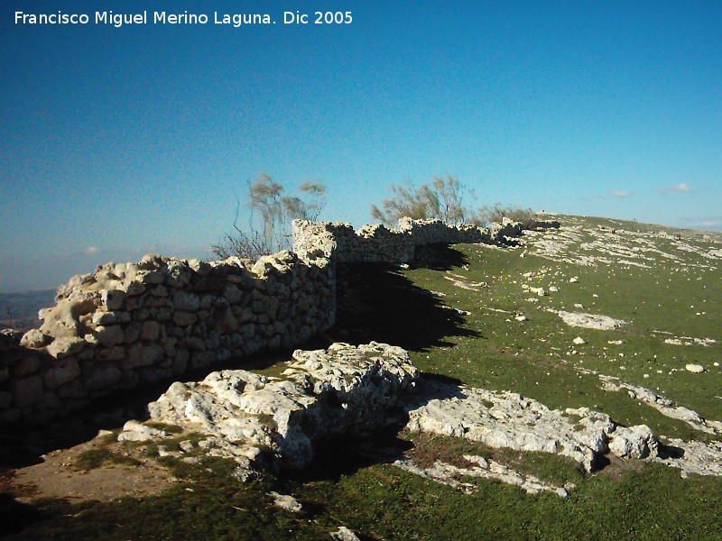 Yacimiento arqueológico Ronda la Vieja - Yacimiento arqueológico Ronda la Vieja. Muro