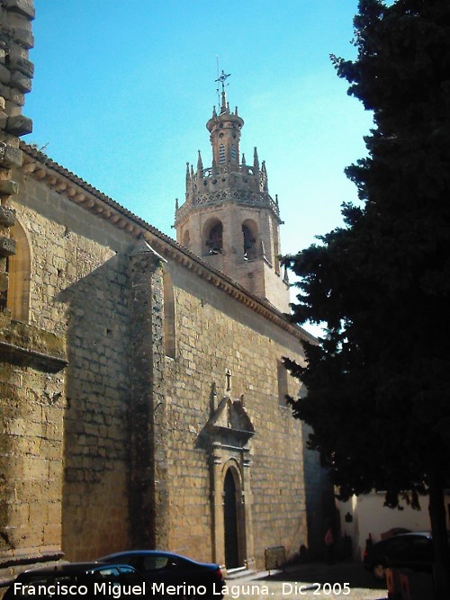 Colegiata Santa María la Mayor - Colegiata Santa María la Mayor. Lateral