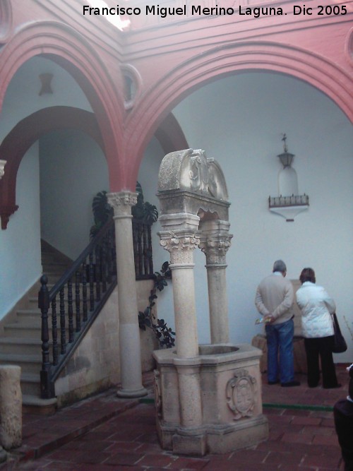 Palacio de Mondragón - Palacio de Mondragón. Pozo