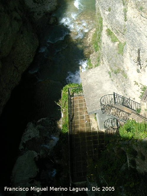 Jardines de Cuenca - Jardines de Cuenca. Bajada al río