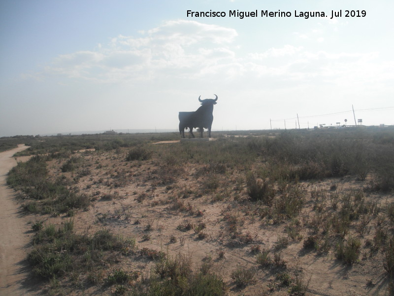 Parque Natural de las Salinas de Santa Pola - Parque Natural de las Salinas de Santa Pola. 