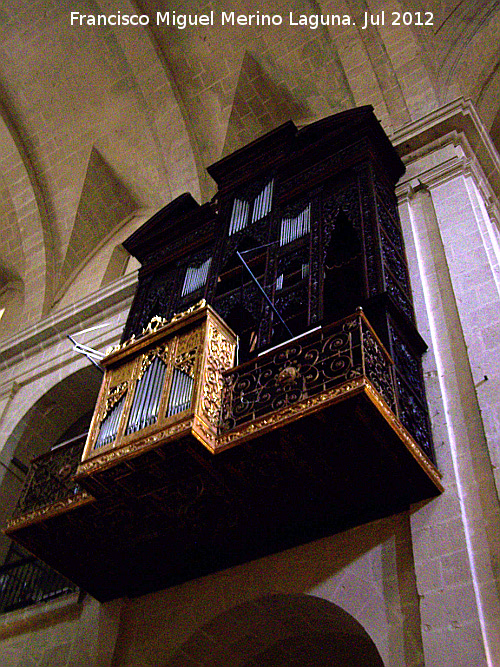 Concatedral de San Nicolás de Bari - Concatedral de San Nicolás de Bari. Órgano