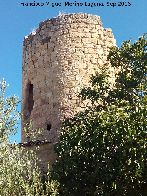 Torreón de Fuente Álamo - Torreón de Fuente Álamo. 
