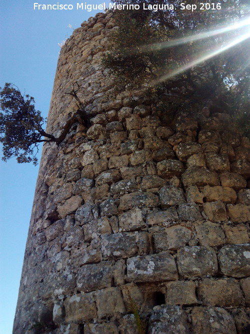 Torreón de los Pedregales - Torreón de los Pedregales. 