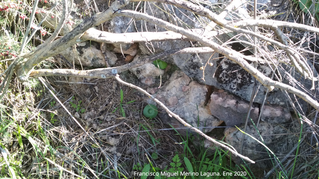 Torre�n del Moro - Torre�n del Moro. Detalle del muro de un torre�n cuadrangular de la muralla