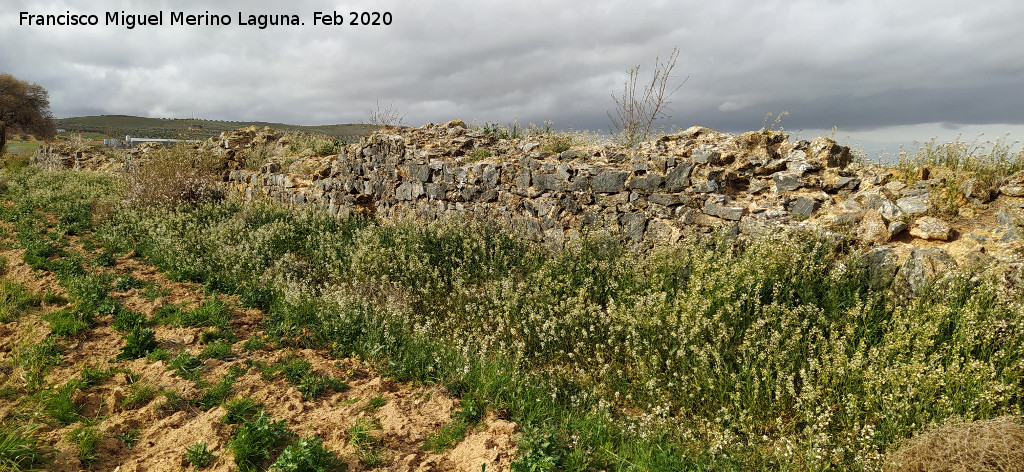 Presa de Consuegra - Presa de Consuegra. 