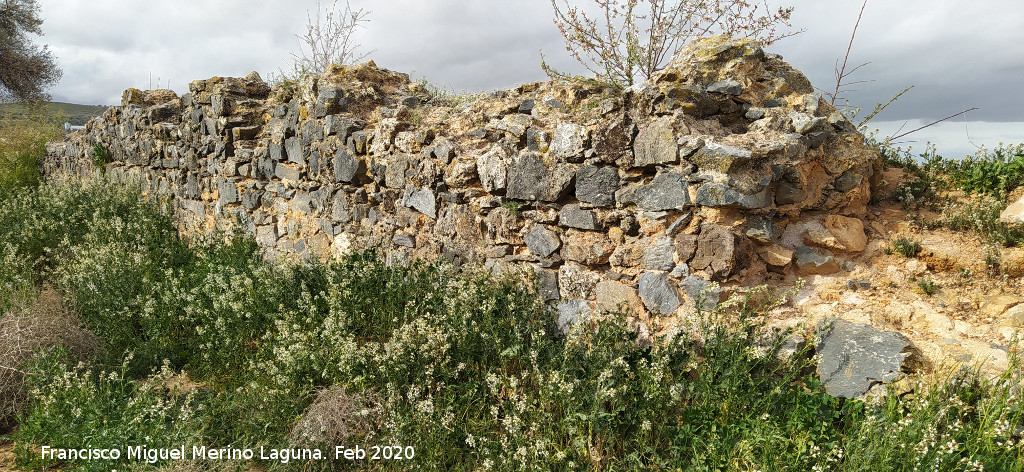 Presa de Consuegra - Presa de Consuegra. 