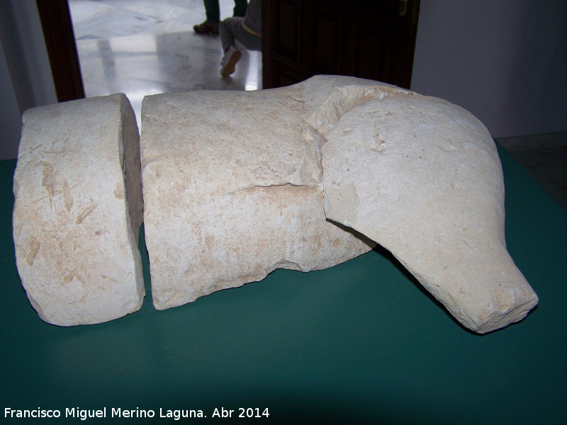 Historia de Andújar - Historia de Andújar. Escultura ibera. Museo Arqueológico Profesor Sotomayor - Andújar
