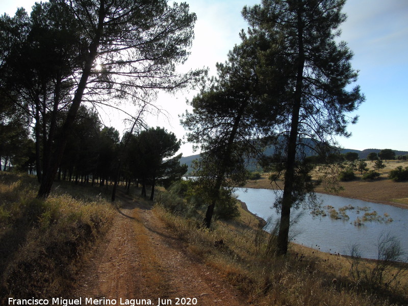 Pantano del Guadal�n - Pantano del Guadal�n. Cola