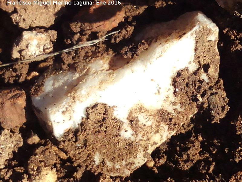 Villa romana de Los Ba�os - Villa romana de Los Ba�os. M�rmol