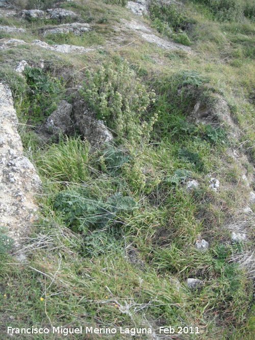 Necrópolis visigoda del Cerro Salido - Necrópolis visigoda del Cerro Salido. Tumbas