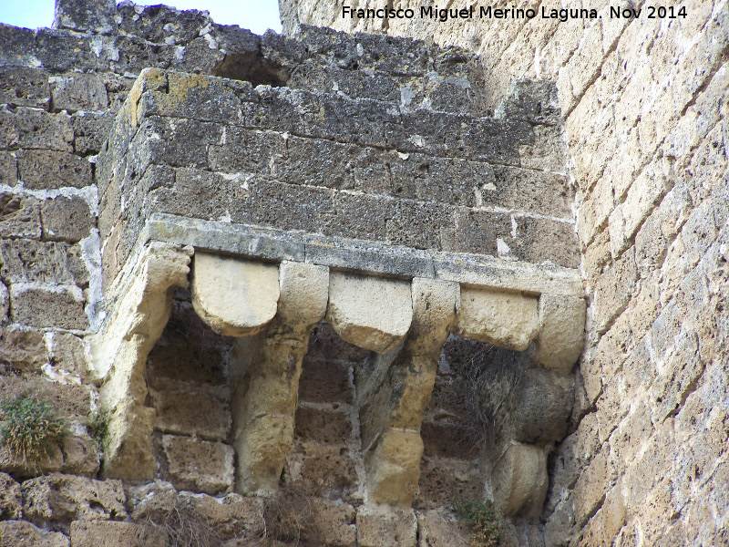 Matacán - Matacán. Castillo de Priego de Córdoba