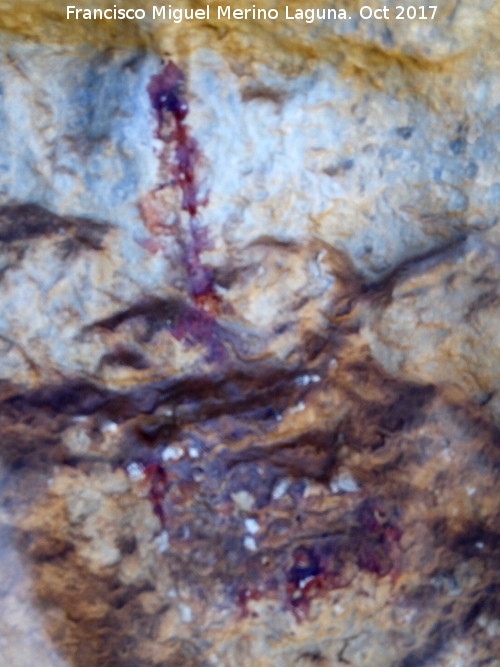Pinturas rupestres de la Cueva del Hornillo de la Solana - Pinturas rupestres de la Cueva del Hornillo de la Solana. Pinturas inéditas