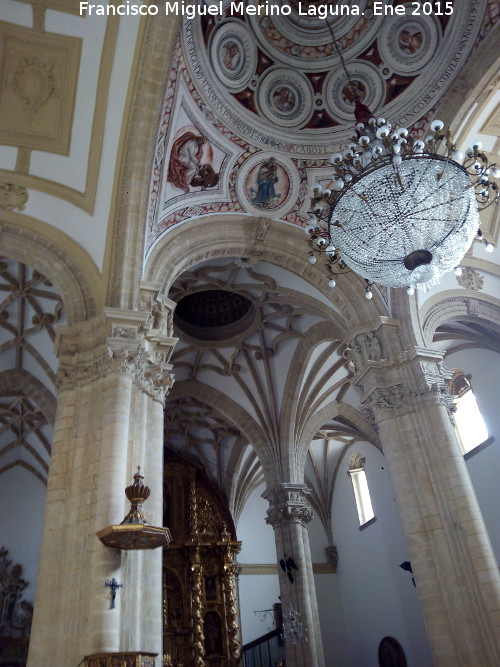 Catedral de Baeza. Interior - Catedral de Baeza. Interior. Bóvedas
